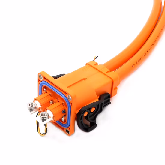 Fpic Factory Electric Motorcycle Wiring Harness Engine High Voltage Automotive Harness Wire