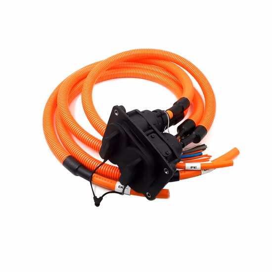 Fpic Factory Electric Motorcycle Wiring Harness Engine High Voltage Automotive Harness Wire